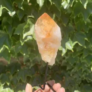 Citrine crystal on a black stand.
