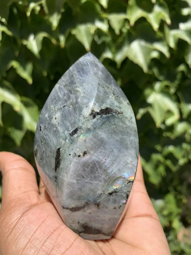 Grey labradorite crystal in hand. Grey labradorite crystal in hand.