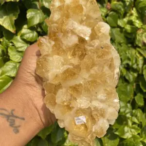 Golden citrine crystal cluster in hand.