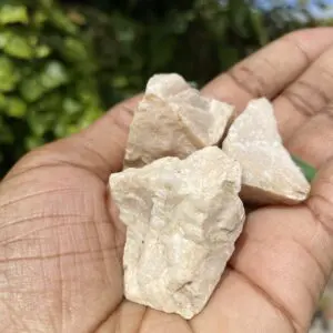 Hand holding three white rocks.