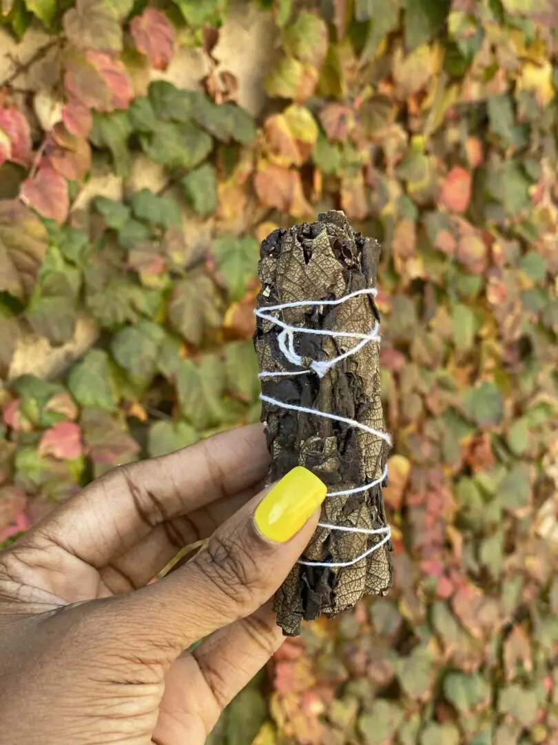 Hand holding a sage smudge stick. Hand holding a sage smudge stick.