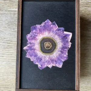 Amethyst crystal in a wooden frame.