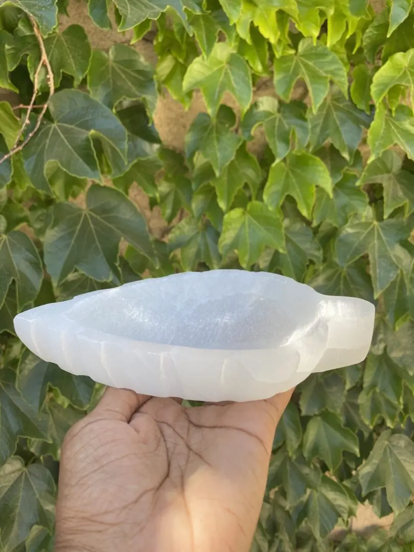 A person holding an object in their hand. A person holding an object in their hand.