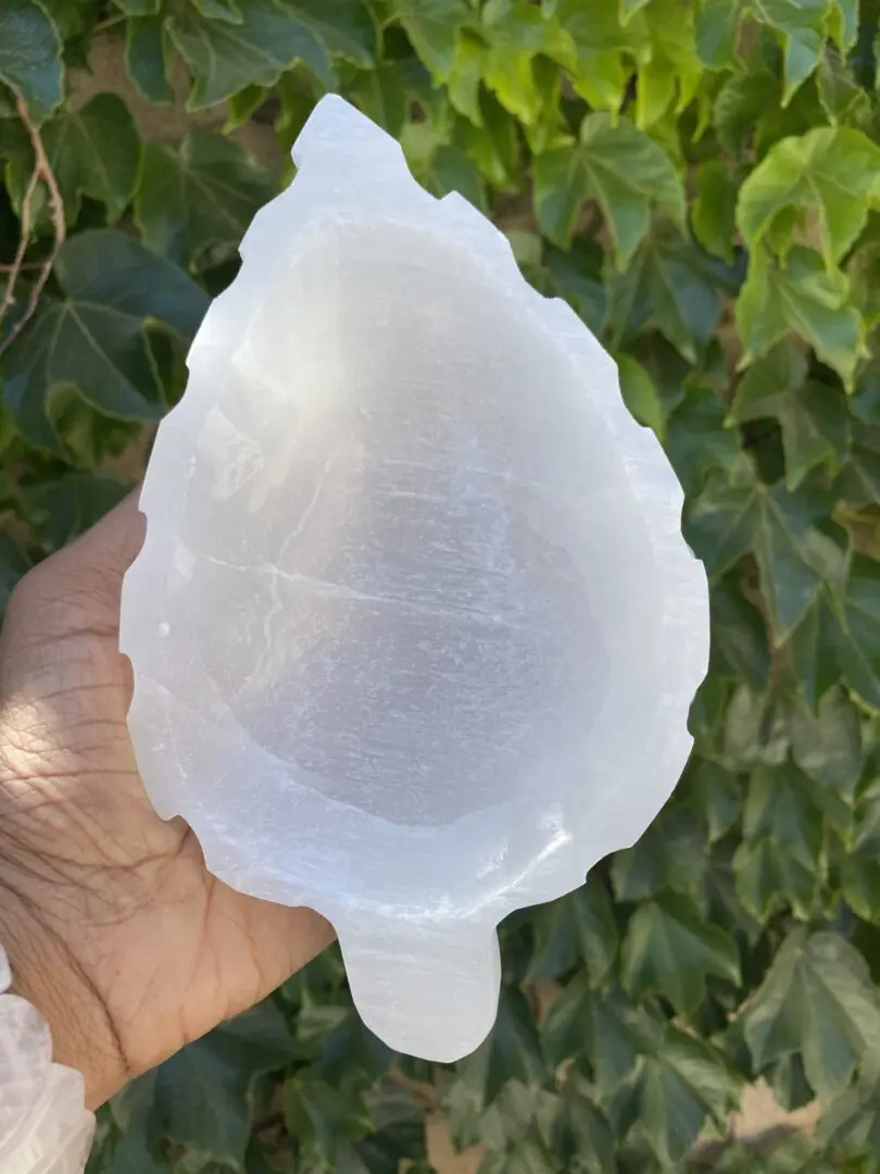 A person holding an object in their hand. A person holding an object in their hand.