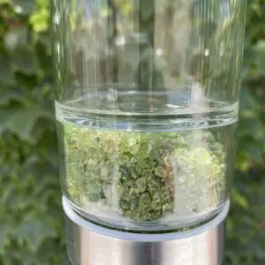 A glass container with some green plants in it