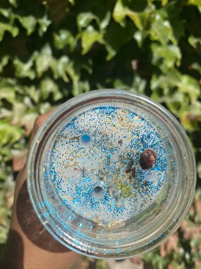 A bug in the middle of a jar A bug in the middle of a jar