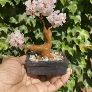 A person holding a small tree in their hand.