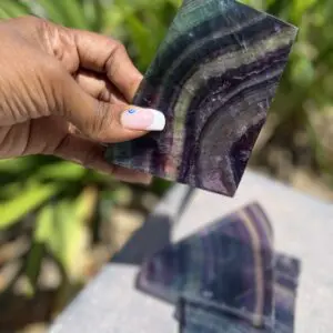 A person holding up a piece of paper