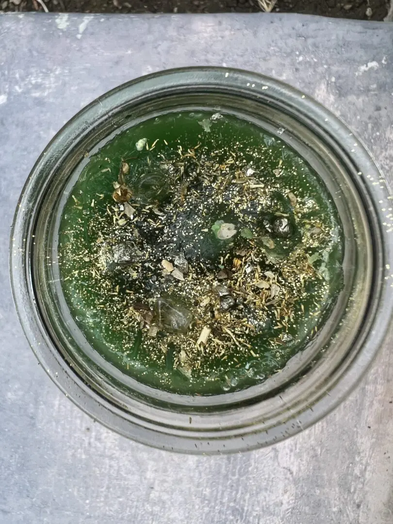 A bowl of green stuff on the ground. A bowl of green stuff on the ground.