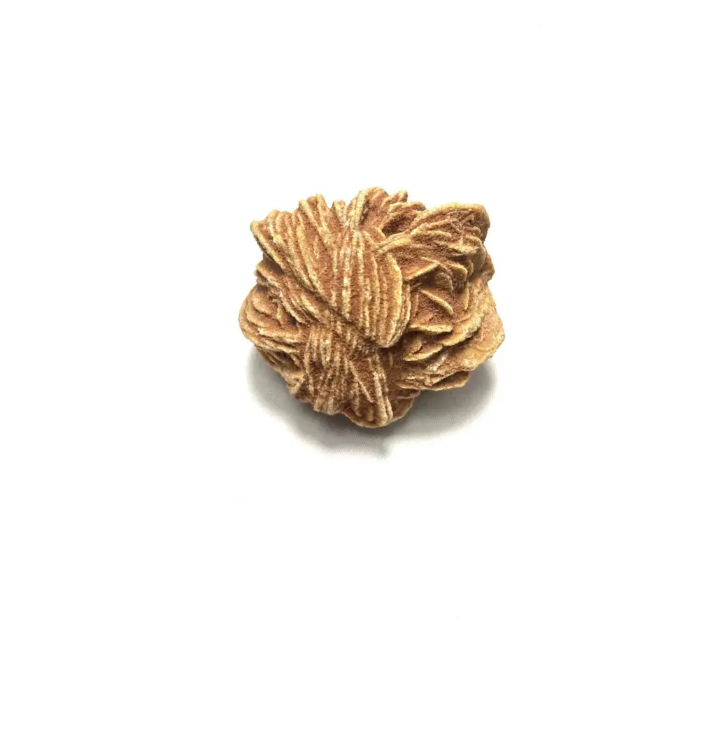 A piece of wood on top of white background. A piece of wood on top of white background.