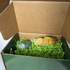A box with some food inside of it