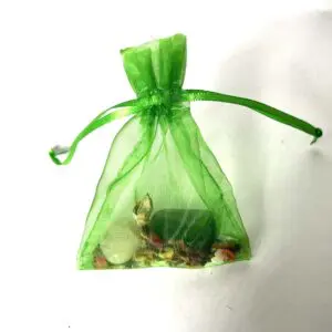 A green bag filled with rocks and shells.