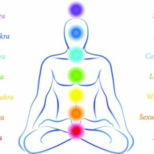 Seven chakras diagram with corresponding qualities.