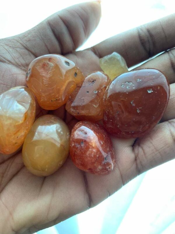 Hand holding orange and yellow carnelian stones.