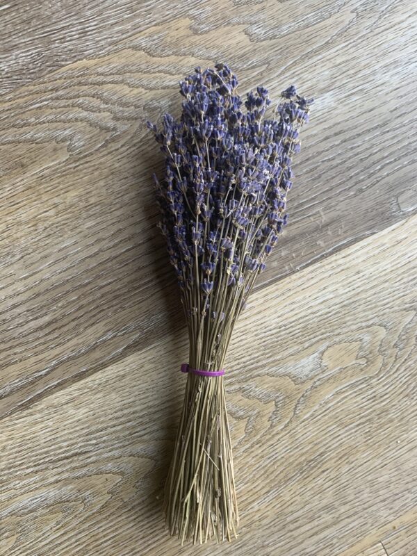 Bundle of dried lavender on wood.