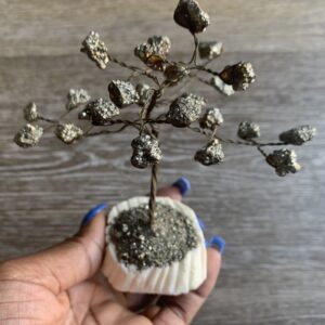 Pyrite crystal tree in hand, white base.