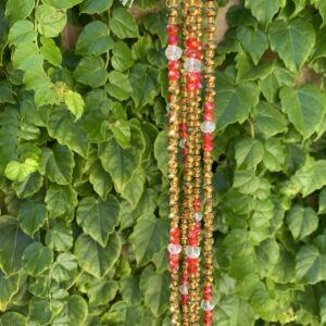 Gold and red beaded necklace against green leaves.