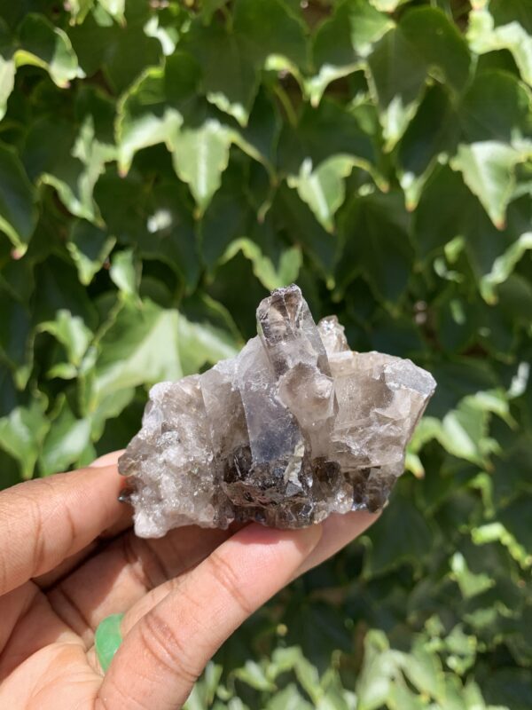 Smoky quartz crystal cluster in hand.