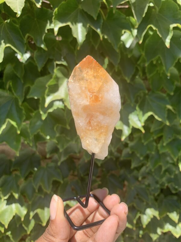 Citrine crystal on a black stand.