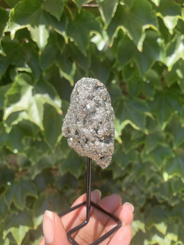 Pyrite crystal on a stand against greenery.