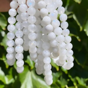 White gemstone beads on a green plant.