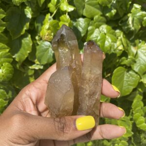 Hand holding three smoky quartz crystals.