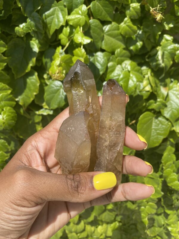 Hand holding three smoky quartz crystals.