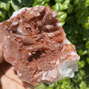 Red and clear quartz crystal cluster.