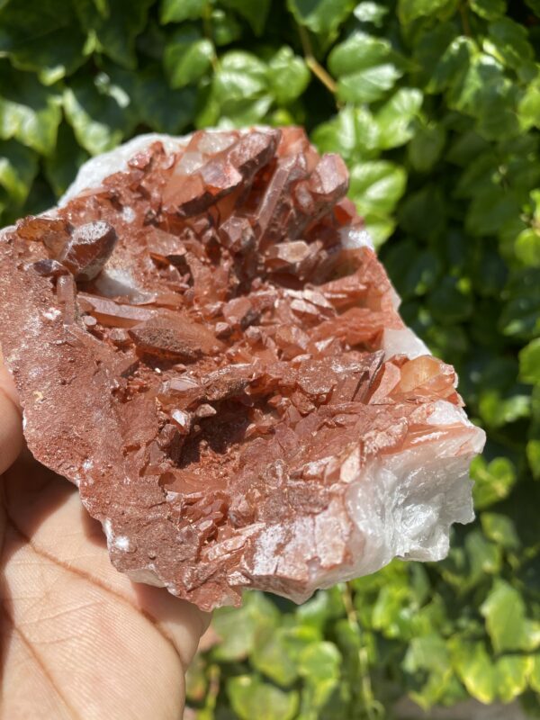 Red and clear quartz crystal cluster.