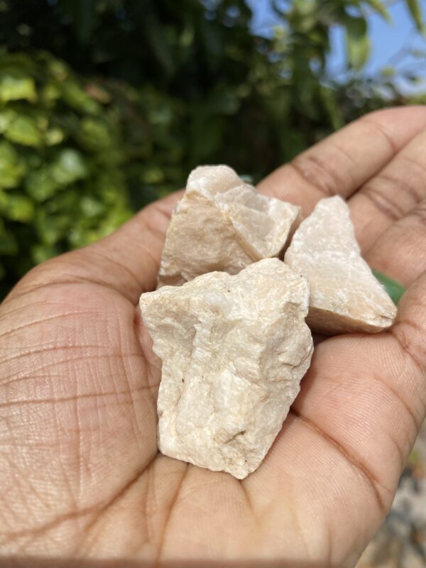 Hand holding three white rocks.