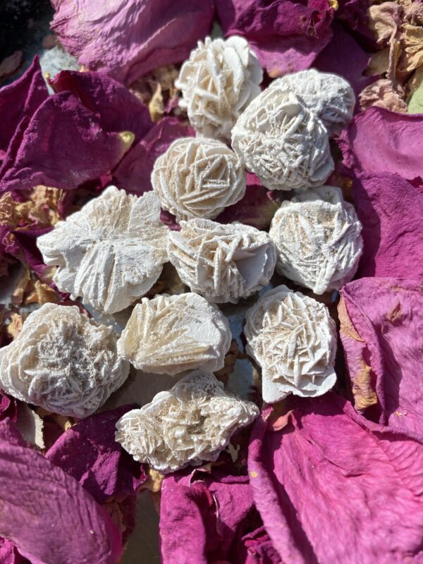 White desert rose crystals on rose petals.