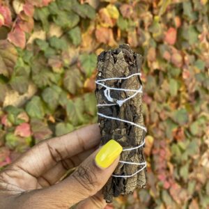 Hand holding a sage smudge stick.