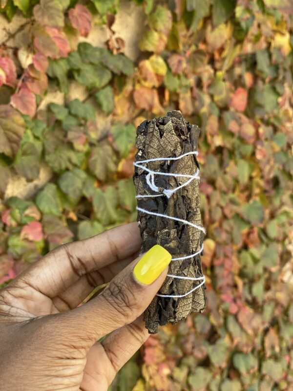 Hand holding a sage smudge stick.