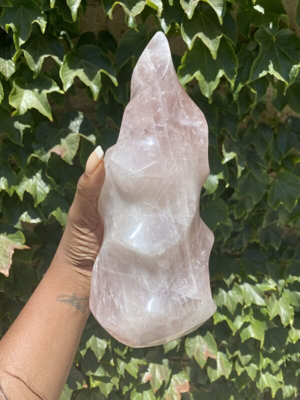 A hand holding a large piece of rock