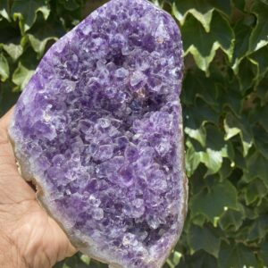 A hand holding up a purple rock with some green leaves in the background