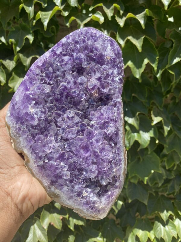 A hand holding up a purple rock with some green leaves in the background