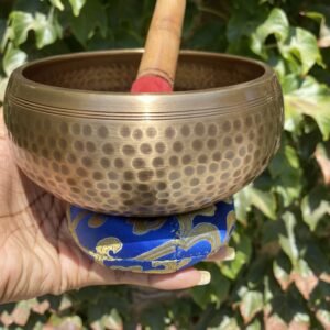 A person holding a bowl with a stick in it.