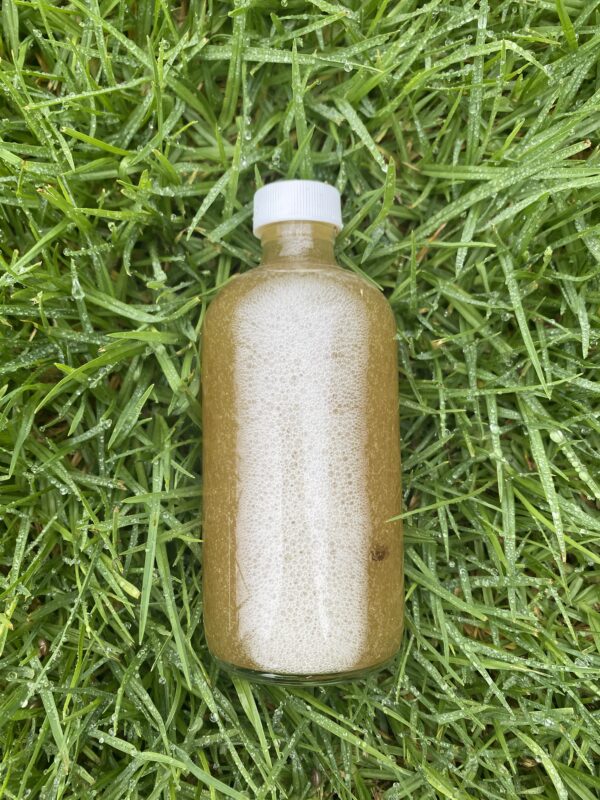 A bottle of liquid sitting in the grass.