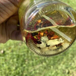 A person holding a glass filled with food.