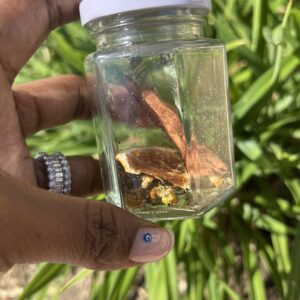 A person holding a jar with some food inside of it