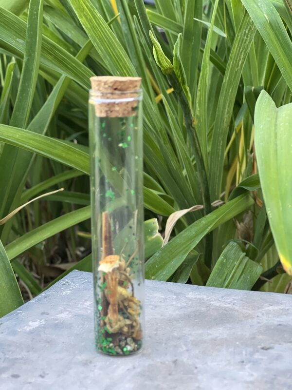 A glass tube with some plants in the background