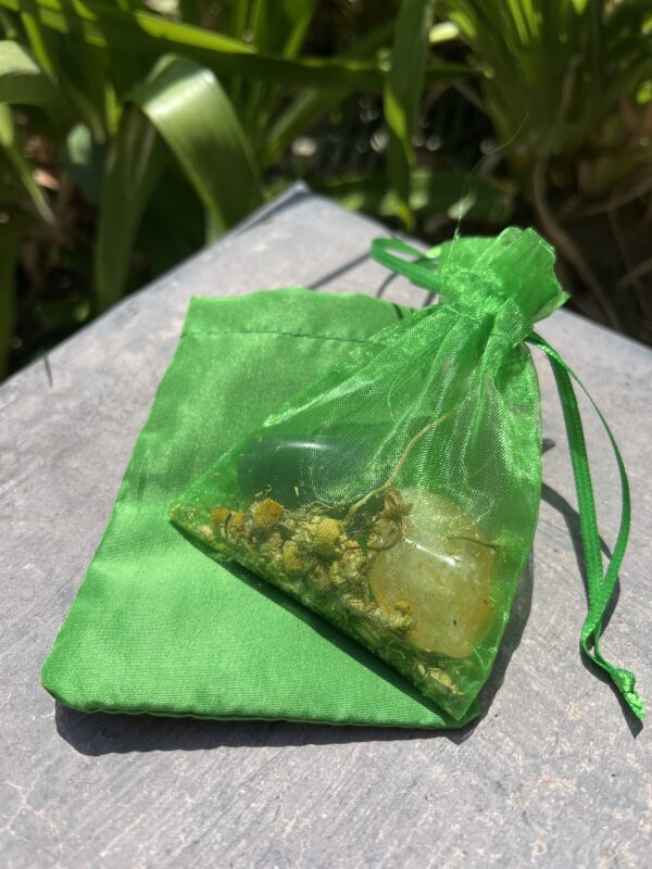 A green bag with some stuff inside of it