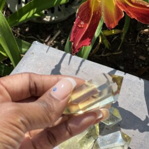 A person holding a piece of glass in front of a flower.