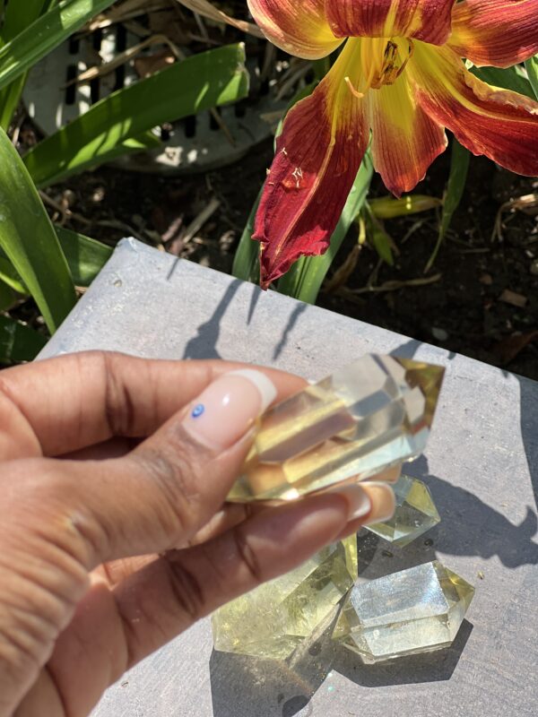 A person holding a piece of glass in front of a flower.