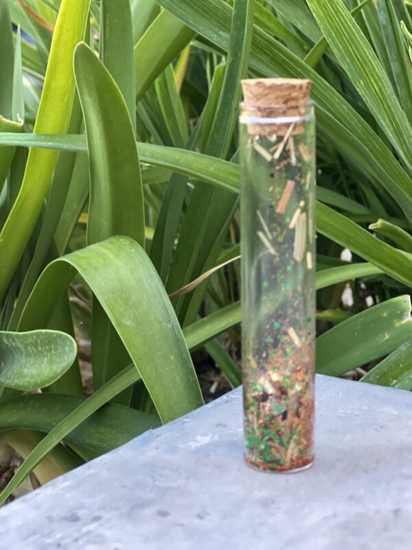 A glass tube with plants in the background