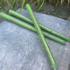 A group of green sticks sitting on top of a cement block.