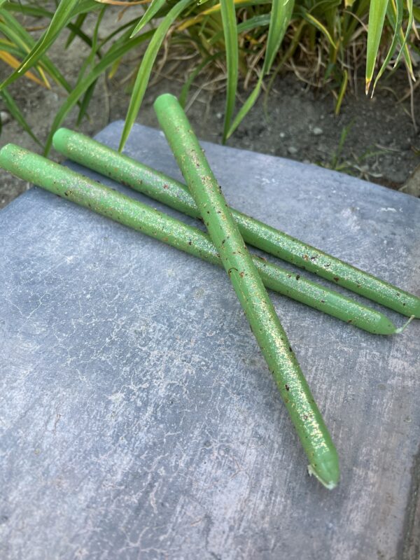 A group of green sticks sitting on top of a cement block.