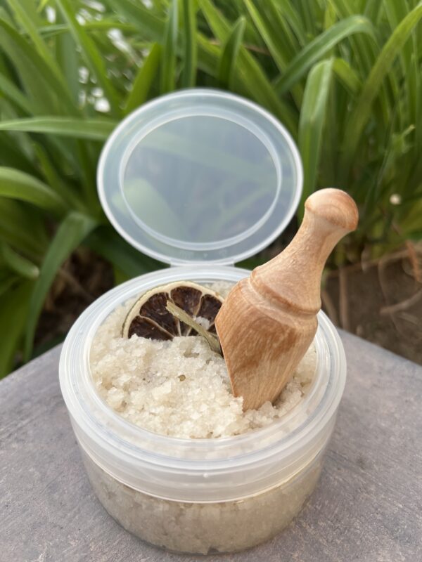 A wooden spoon is in the lid of a container.