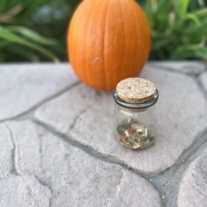 A jar of herbs and an orange on the ground.