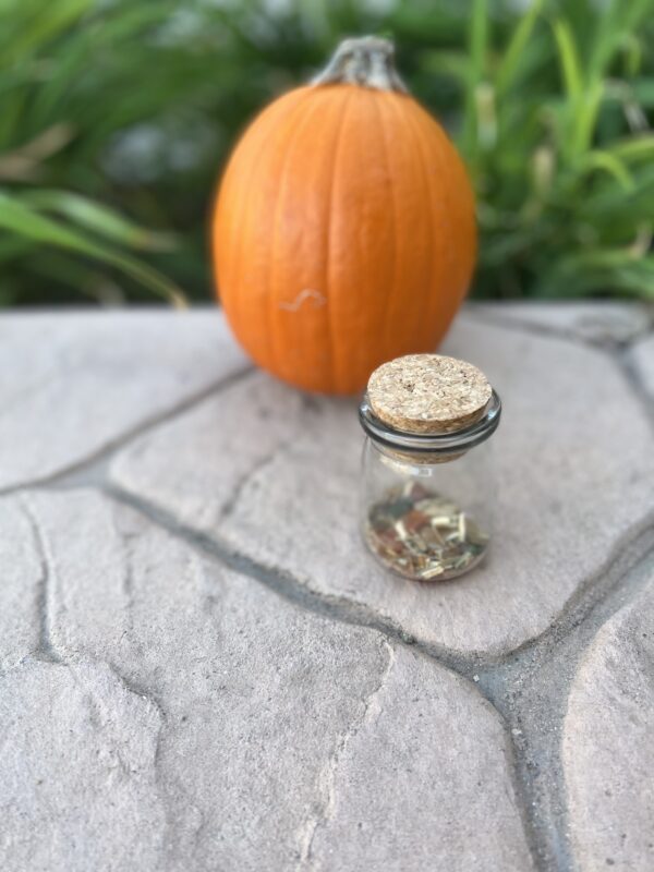 A jar of herbs and an orange on the ground.